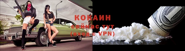 спайс Дмитриев