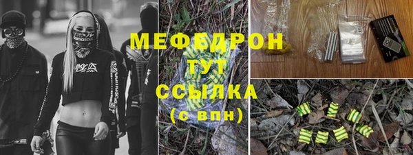 гашик Дмитровск