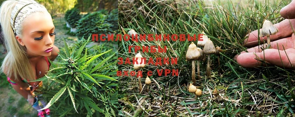 a pvp Протвино